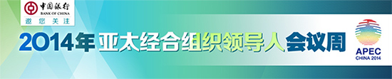 APEC峰會落下帷幕：金融問題受到APEC關注