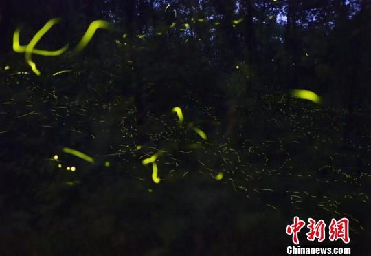 四川天臺(tái)山創(chuàng)5A景區(qū)實(shí)施改造為螢火蟲(chóng)讓路
