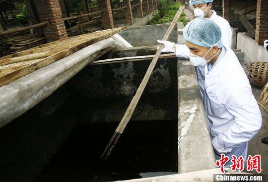 資料圖：檢測人員對警方查獲的制售潲水油窩點(diǎn)內(nèi)的半成品油進(jìn)行檢測。<a target=&apos;_blank&apos; href=&apos;http://www.chinanews.com/&apos; _fcksavedurl=&apos;http://www.chinanews.com/&apos;></table><p align=